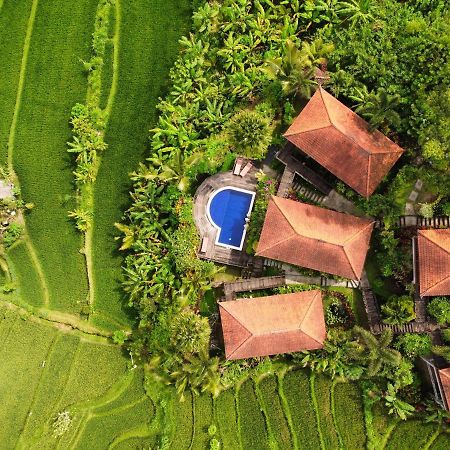 Barong Villas Сідемен Екстер'єр фото